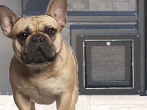 pool cage pet doors patio pet doors